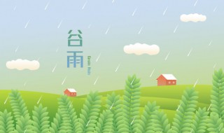 谷雨有哪些养生食谱 谷雨吃什么养生