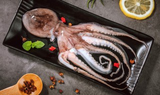 章鱼的吃法 章鱼怎么做好吃 家常做法