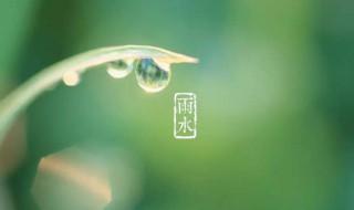 雨水节气吃啥养生 雨水节气吃啥好