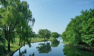 初夏是几月 初夏是几月份