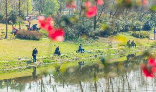 春季钓鱼早上好呢还是下午好 春季钓鱼上午还是下午好