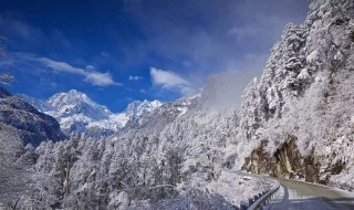 阿尔卑斯山南坡物种丰富的原因 阿尔卑斯山南坡与北坡的比较