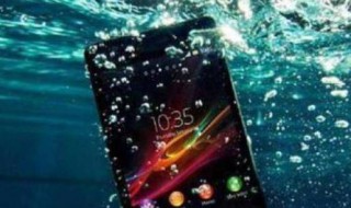 手机掉到水里为什么没信号（手机掉水里了没信号是怎么回事）