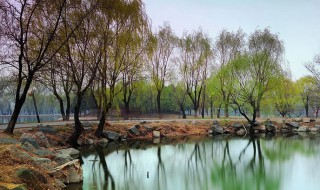 四园春景描写的是什么季节 个园春夏秋冬四个景