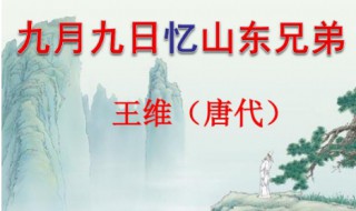 9月9日忆山东兄弟这首古诗是什么意思 9月9日忆山东兄弟这首诗的诗意是什么