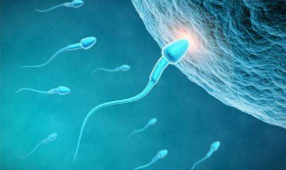 什么是受精的作用（何谓受精?受精有何意义?）