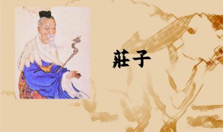 庄子极具什么色彩（庄子极具什么色彩特色）