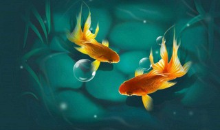 周公解梦梦见鱼 周公解梦梦见鱼在水里游