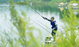 北方什么季节适合钓黑鱼（北方打黑鱼什么季节最好）