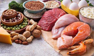 高蛋白的食物有哪些 补充高蛋白的食物有哪些