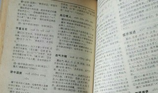 白字开头的成语（白字开头的成语有哪些）