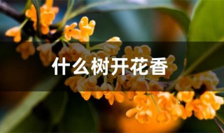 什么树开花香（开花的树木有哪些）