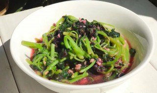 长寿菜是什么菜 长寿菜也叫海藻芽