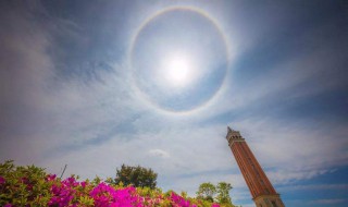 太阳为什么会有日晕（太阳为什么会出现日晕）