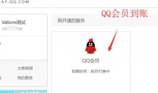 QQ会员的红钻有什么用 qq会员红钻是干嘛的