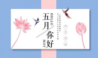 五月是夏天还是春天（五月是夏天吗）