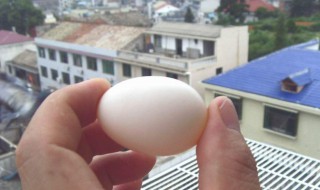 鸡蛋壳补钙可行吗（鸡蛋壳补钙可行吗有营养吗）