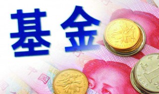 基金主要投资于什么证券（基金主要投资于什么证券行业）