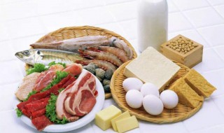 哪些食物蛋白质比较高 哪些食物蛋白质高胆固醇低