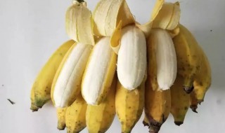 芭蕉吃了有什么好处 香蕉和芭蕉哪个更对身体有益