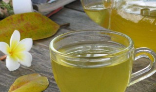 玉兰花茶的泡制和功效作用 玉兰花茶的功效与作用及食用方法