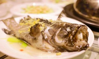 石斑鱼怎么吃 红石斑鱼怎么做最好吃
