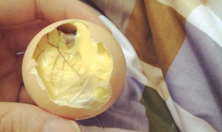 鸡蛋怎么做出毛蛋（鸡蛋怎么做出毛蛋好吃）