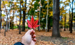 一年四季如何分几个月 一年四季怎么分几个几月了