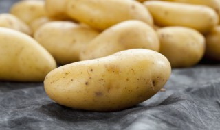 发芽的土豆怎么处理可以吃（发芽的土豆还能吃吗）