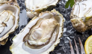 牡蛎的功效与作用及食用方法 牡蛎的功效与作用及食用方法合欢皮