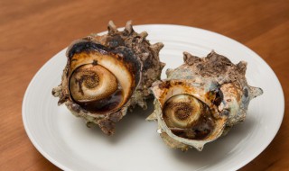 海螺能蒸着吃吗 海螺能蒸着吃吗有营养吗