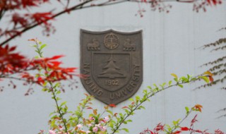 南京大学校徽寓意（南京 大学校徽）