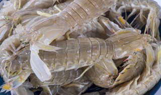濑尿虾干怎样做好吃 濑尿虾干怎样做好吃又简单