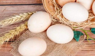 鸭蛋和鸡蛋哪个营养价值高（鹅蛋鸭蛋和鸡蛋哪个营养价值高）