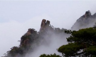 蒙蒙的什么 蒙蒙细雨类似的词语还有蒙蒙的什么