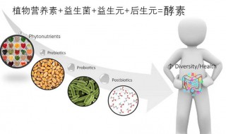 酵素是什么（酵素是什么东西）