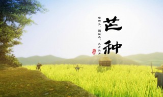 芒种代表仲夏的（芒种代表仲夏的季节吗）