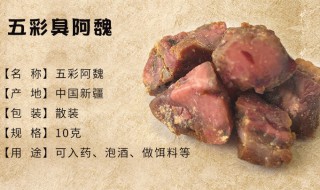 阿魏是什么（阿魏是什么中药）