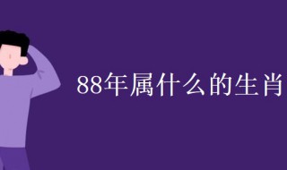 88年属什么的生肖 87年属什么的生肖