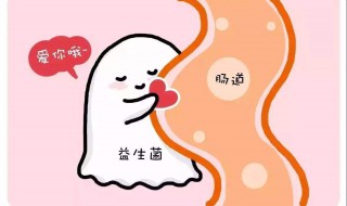 吃益生菌有什么好处 吃益生菌有什么好处能减肥吗