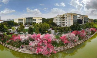 三峡大学怎么样 三峡大学怎么样好不好