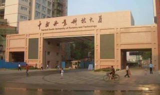 中南林业科技大学涉外学院怎么样（中南林业科技大学涉外学院怎么样知乎）