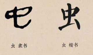 虫子旁的字 虫字旁的字有哪些