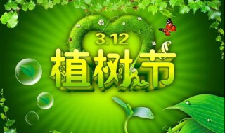 植树节的来历和意义（植树节的来历和意义50字）