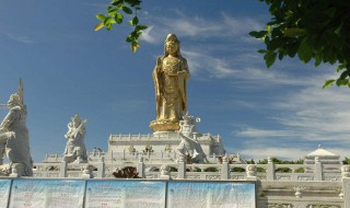 普陀山在哪（普陀山在哪个高铁站下）