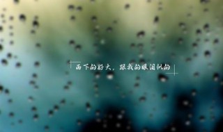 七月的风八月的雨什么歌 七月的风八月的雨什么歌曲