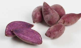 紫薯发芽了还能吃吗 紫薯发芽了还能吃吗百度百科图片
