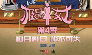 极品女士4电视剧剧情（极品女士第二季 电视剧）