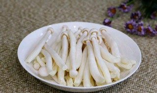 新鲜海鲜菇怎么保存 新鲜海鲜菇怎么保存不会坏