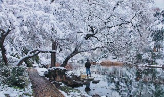 如何拍雪景（苹果手机如何拍雪景）